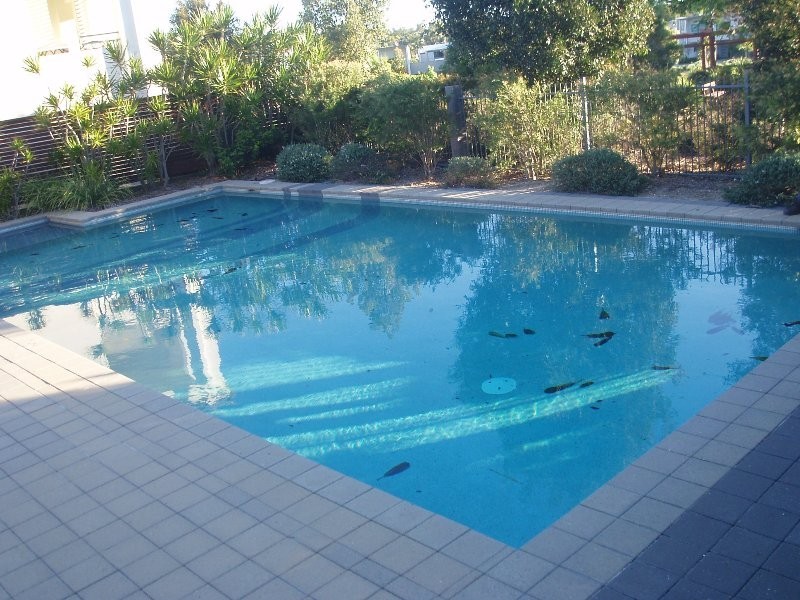 7/19 Cooper Street, Murarrie QLD 4172