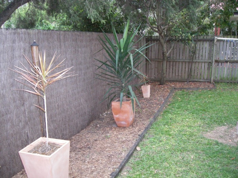 3/253 Cavendish Road, Coorparoo QLD 4151