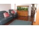 17 Elaroo Street, Morningside QLD 4170