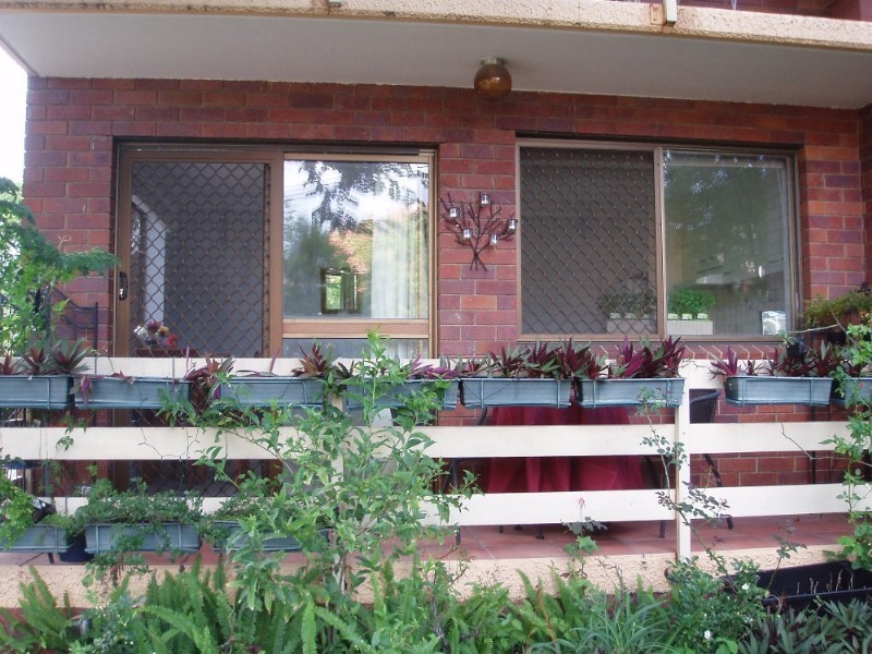 1/18 Pine Street, Bulimba QLD 4171