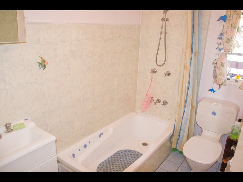 97 Britannia Avenue, Morningside QLD 4170