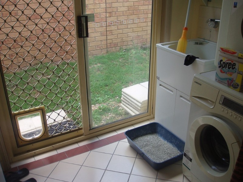 25 Cedar Street, Cannon Hill QLD 4170