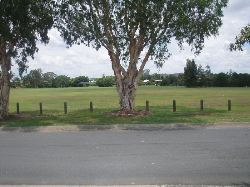 25 Cedar Street, Cannon Hill QLD 4170