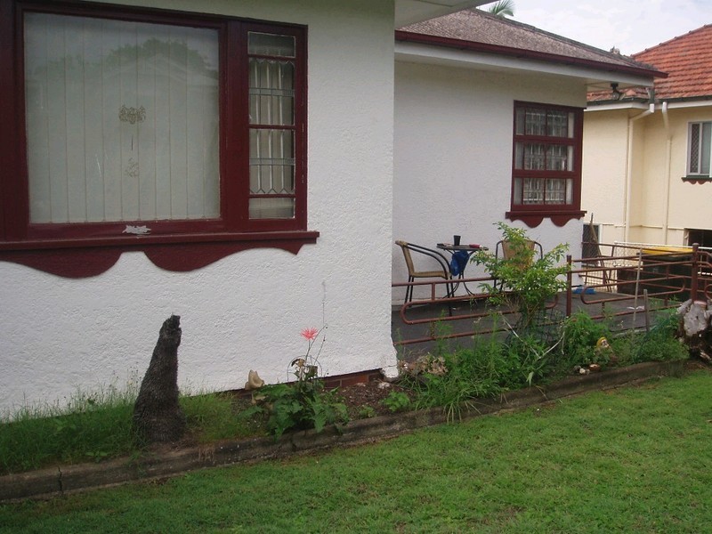 38 Redfern Street, Morningside QLD 4170