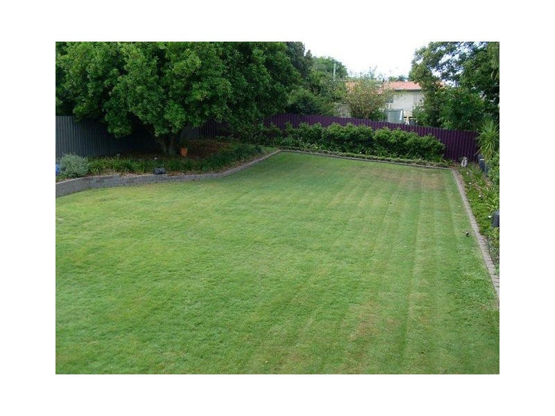 78 Imperial Avenue, Cannon Hill QLD 4170