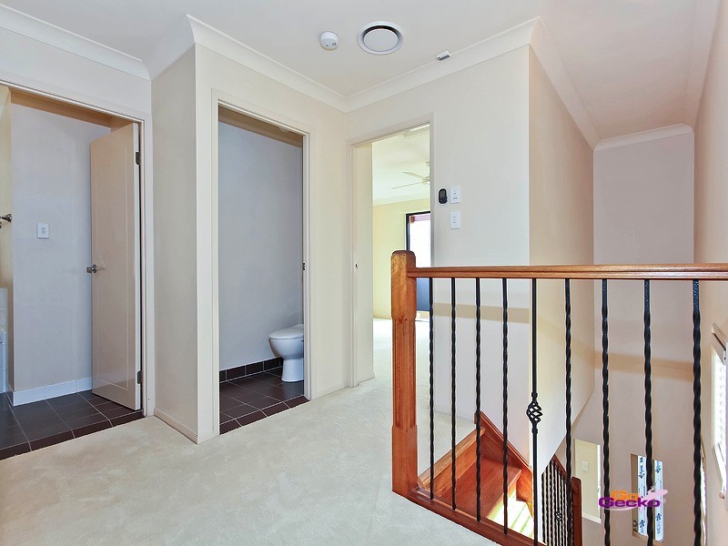 369 Hawthorne Road, Hawthorne QLD 4171