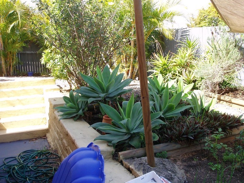 11 Penelope Street, Murarrie QLD 4172