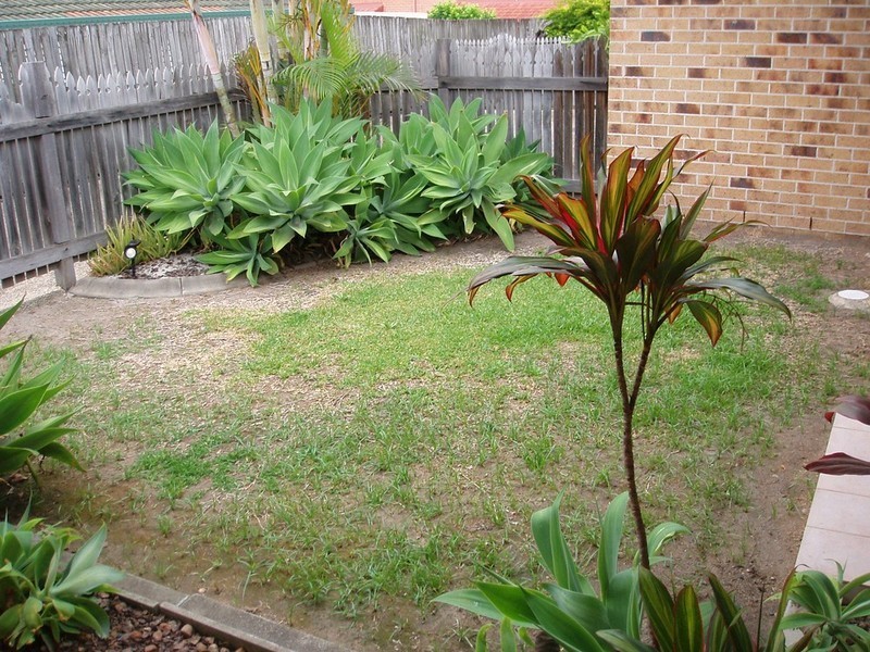 2/83 Kates Street, Morningside QLD 4170