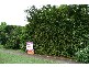 Banyo QLD 4014