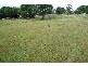 Hendra QLD 4011