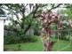 285 Edinburgh Castle Road, Wavell Heights QLD 4012