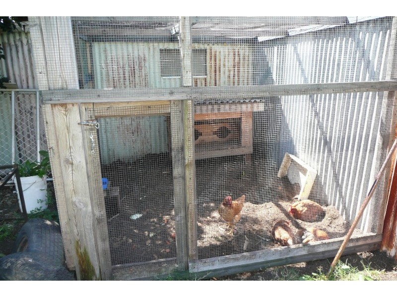 64 Esker Street, Pinkenba QLD 4008