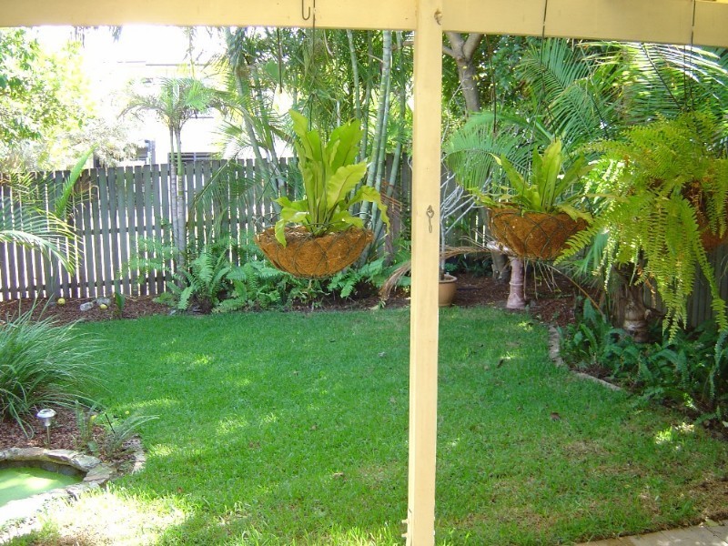 30 Windsor Street, Hamilton QLD 4007