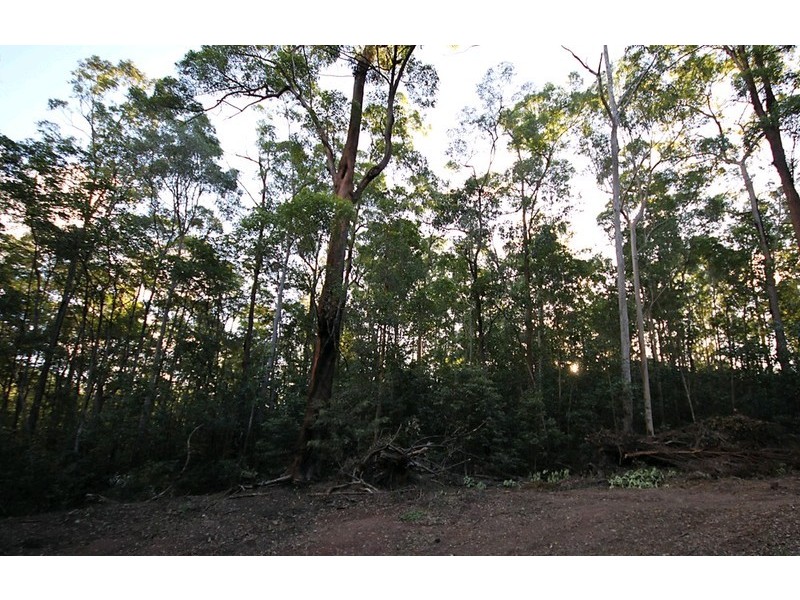 5 Jimna Court, Cashmere QLD 4500