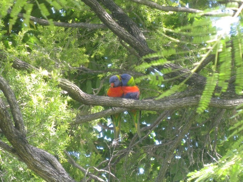 33 Parker Avenue, Northgate QLD 4013