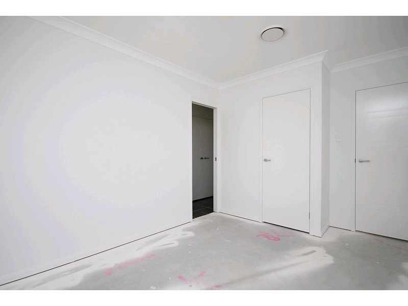 55 Junior Terrace, Northgate QLD 4013