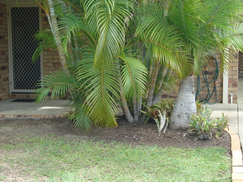 49 Sunderland Drive, Bray Park QLD 4500