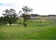45 Tranter Street, Top Camp QLD 4350