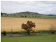 394 Umbiram Road, Wyreema QLD 4352