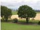 394 Umbiram Road, Wyreema QLD 4352