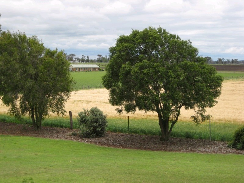 394 Umbiram Road, Wyreema QLD 4352