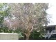 19 Swallow Court, Newtown QLD 4350