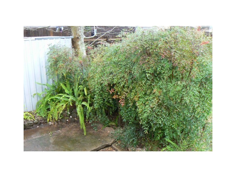 6 Stephen Street, South Toowoomba QLD 4350