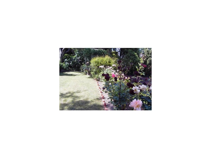 11 Michell Street, Monash ACT 2904
