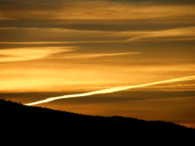 15 Parfitt Crescent, Calwell ACT 2905