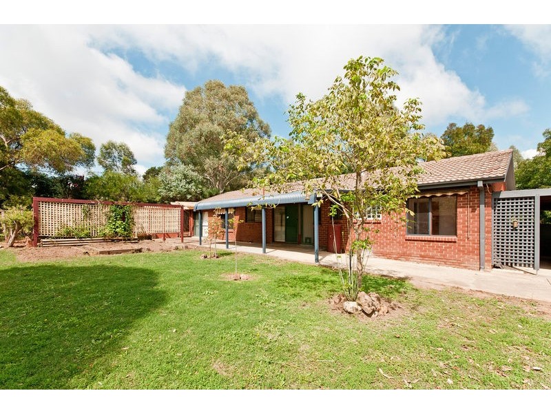 19 Edlington Street, Fraser ACT 2615