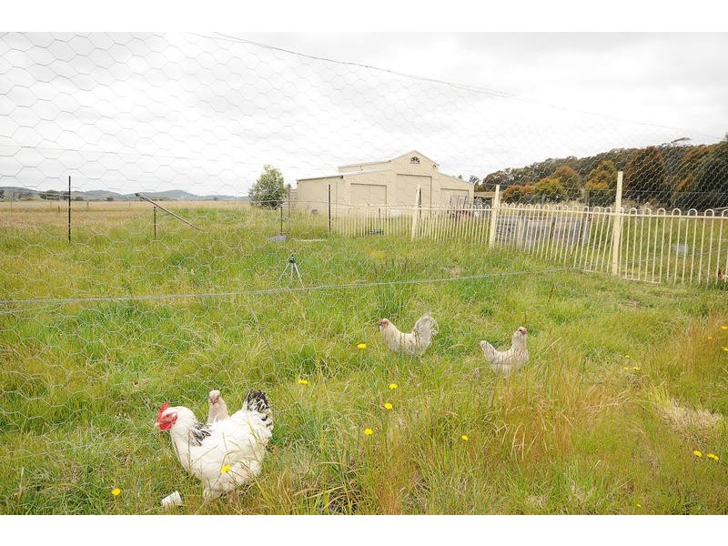 17 Broughton Circuit, Murrumbateman NSW 2582