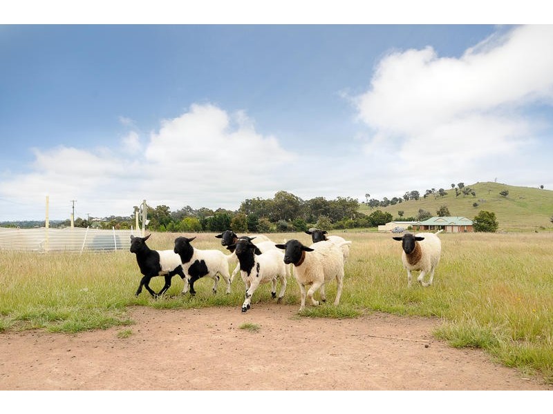 17 Broughton Circuit, Murrumbateman NSW 2582