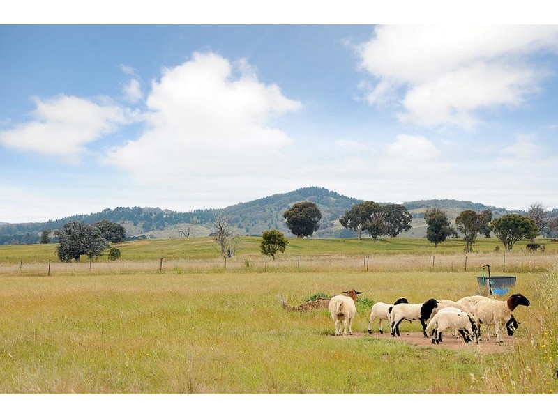 17 Broughton Circuit, Murrumbateman NSW 2582