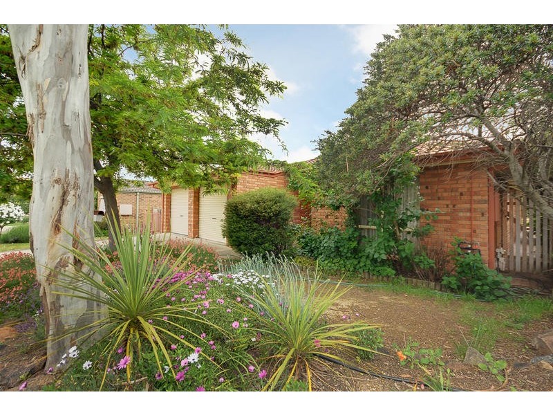 12 Archel Place, Palmerston ACT 2913