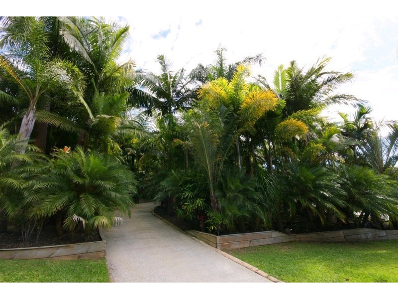 10 Mountridge Close, Kiels Mountain QLD 4559