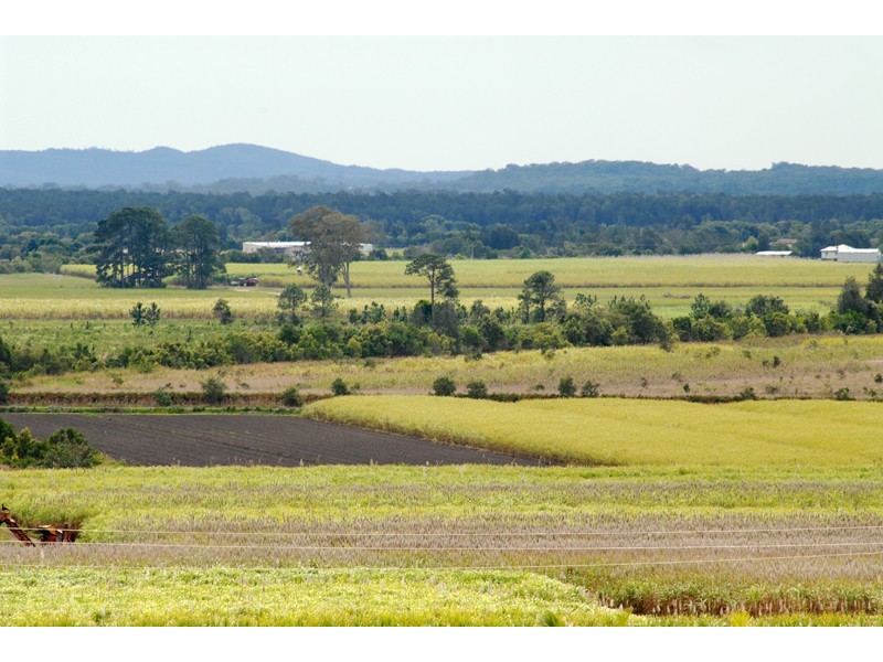 10 Countryview Court, Bli Bli QLD 4560