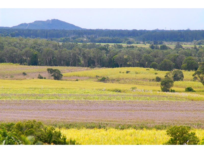 10 Countryview Court, Bli Bli QLD 4560