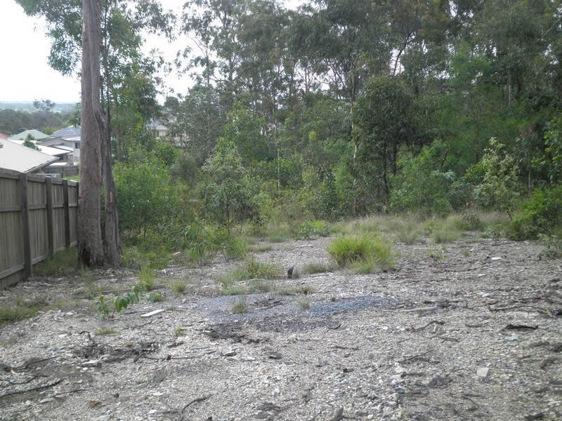 6 Mapleton Close, Waterford QLD 4133