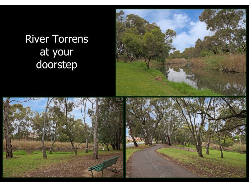 19 Pitcairn Avenue, Kidman Park SA 5025