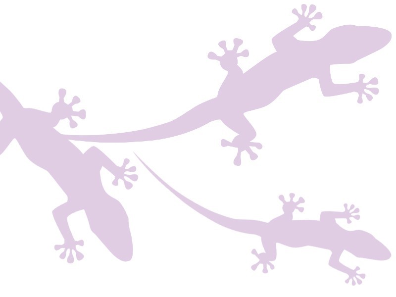 Eight Mile Plains QLD 4113