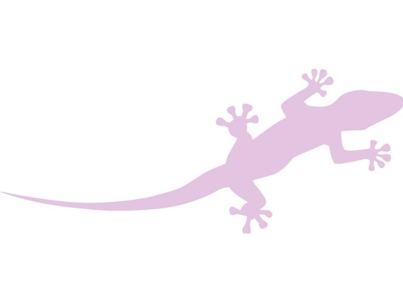 41 Birdwood Road, Holland Park West QLD 4121