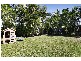 13 Gadgarra Close, Edmonton QLD 4869