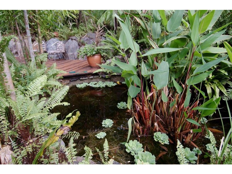 159 Wiseman Road, Edmonton QLD 4869