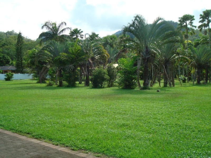 31 Plantation Road, Edmonton QLD 4869