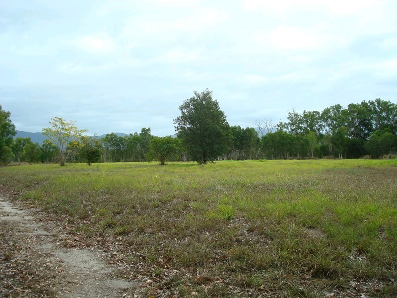 1483 Pine Creek Road, East Trinity QLD 4871