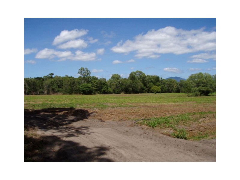 1483 Pine Creek Road, East Trinity QLD 4871