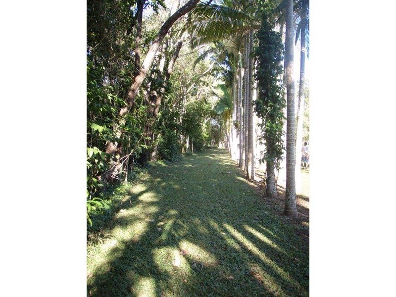 1483 Pine Creek Road, East Trinity QLD 4871