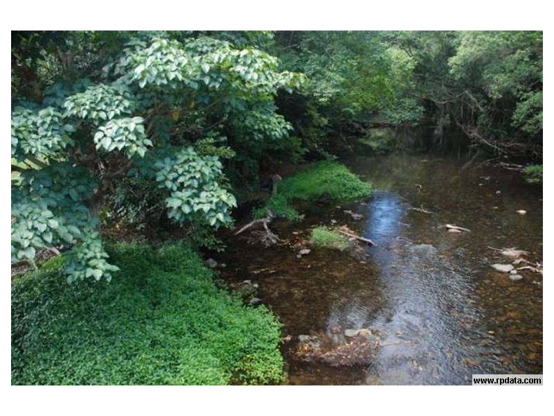 29 Huntley Crescent, Redlynch QLD 4870