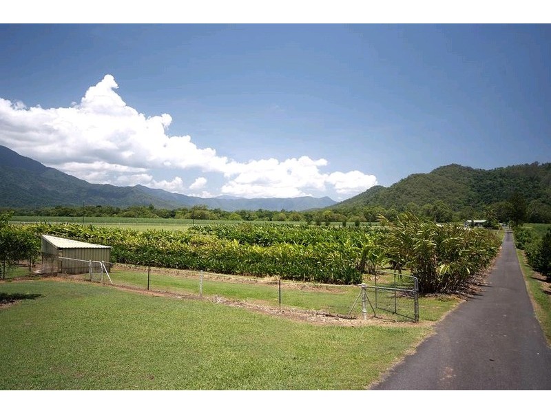 165 Maitland Road, Gordonvale QLD 4865