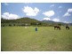 165 Maitland Road, Gordonvale QLD 4865